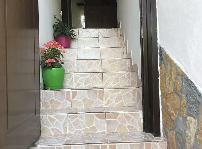 Tomor Shehu Guest house Berat